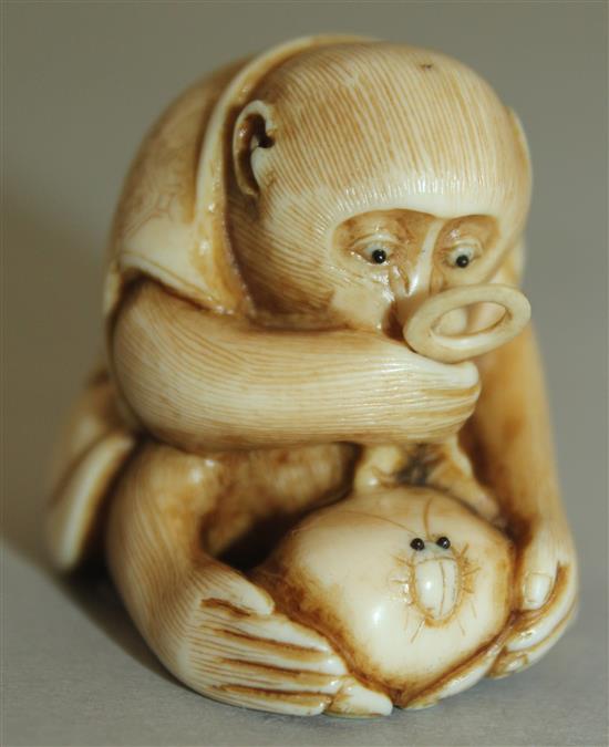 A Japanese ivory netsuke of a monkey viewing an insect through a magnifying glass, signed Masatami, Edo period, 3.6cm